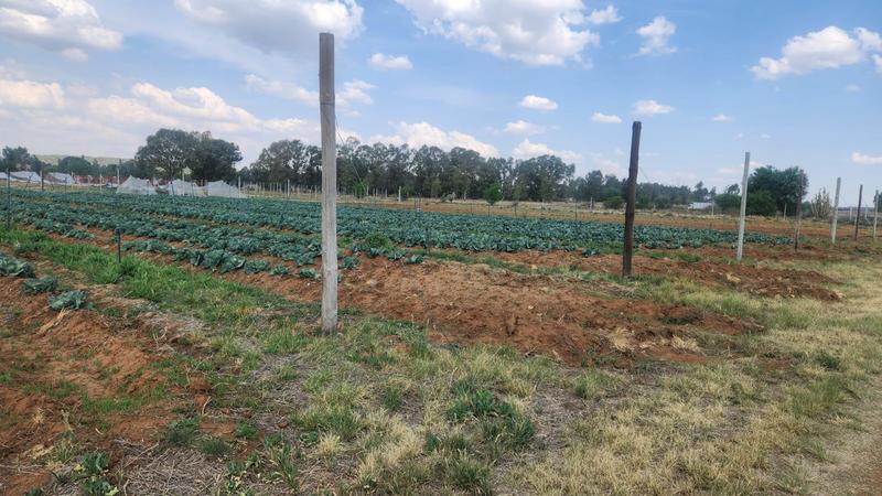 4 Bedroom Property for Sale in Kwaggafontein Free State
